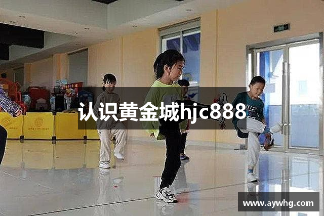 认识黄金城hjc888